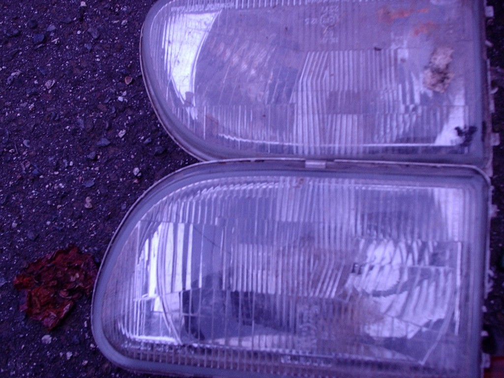 P8194990.JPG